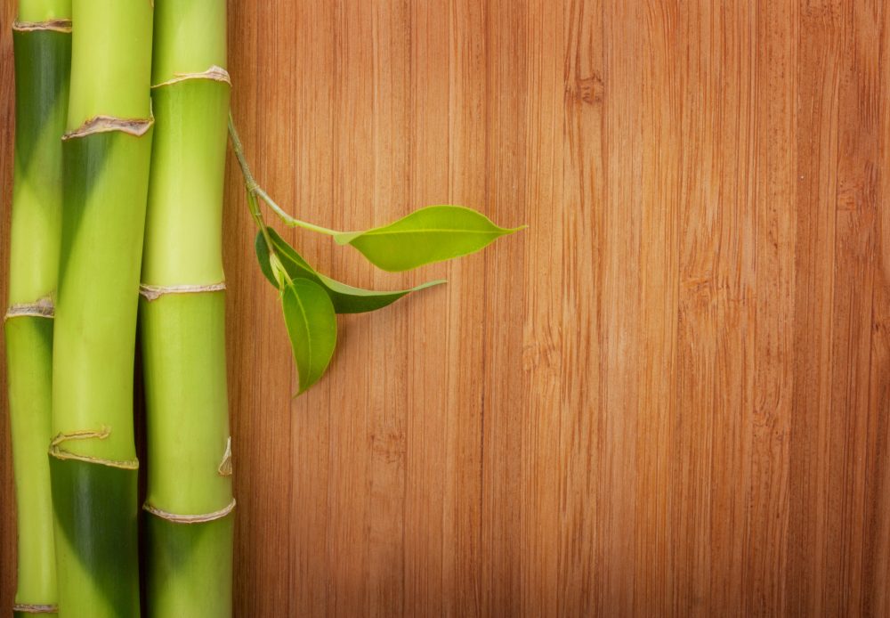 4 Smart Reasons to Install Bamboo Flooring in Your Home